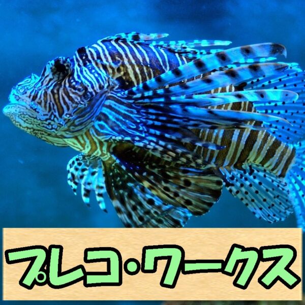 商品画像を待っています